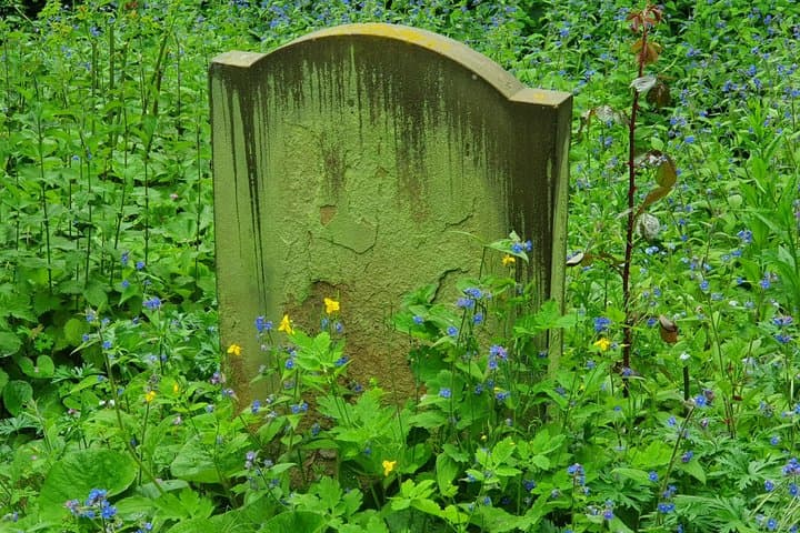 Ominous Oxford - Oxford's Best Ghost Walk!!