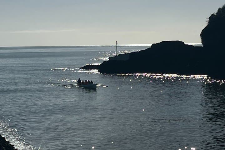 Fowey, Looe & Polperro Mining, Fishing & Smuggling Cornwall Tour