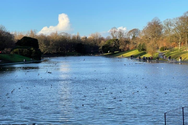 Hidden Beatles Tour Speke Sefton Park and Dungeon Lane