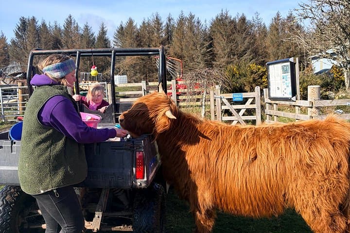 Invergordon or Inverness: Castles & Country Life Private Tour