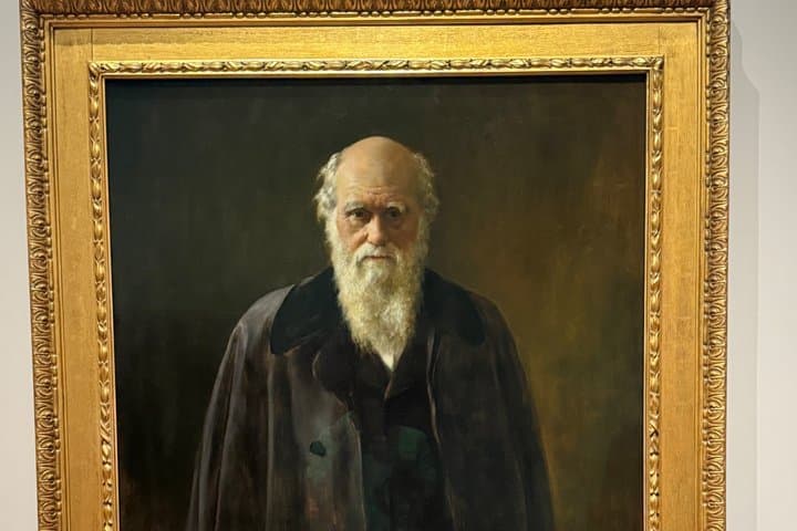 Kings , Queens and more - The National Portrait Gallery tour