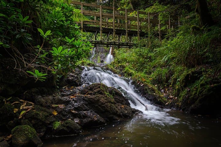 Inverness: Black Isle Brewery, Fairy Glen and Dolphin Coast