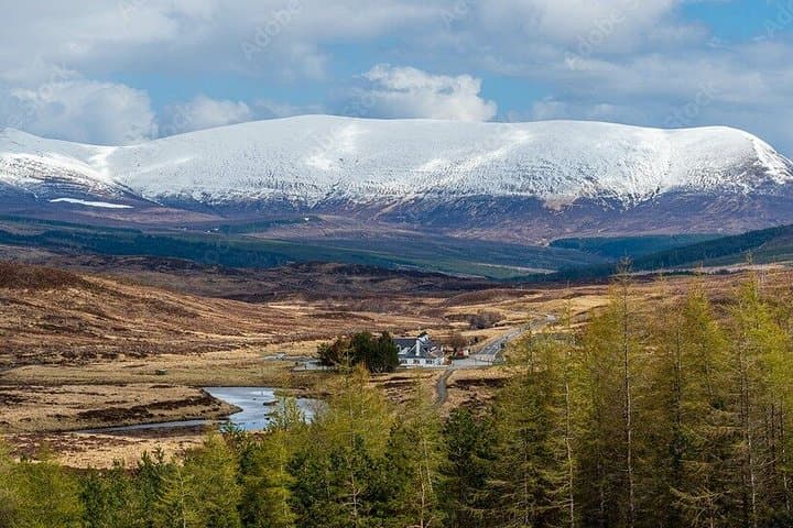 Inverness: Black Isle Brewery, Fairy Glen and Dolphin Coast