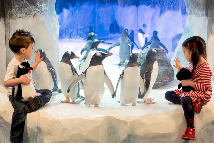 Combo Ticket Sea Life and Legoland Discovery Centre Birmingham