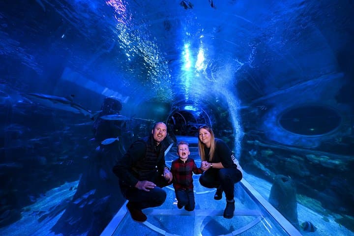 Combo Ticket Sea Life and Legoland Discovery Centre Birmingham