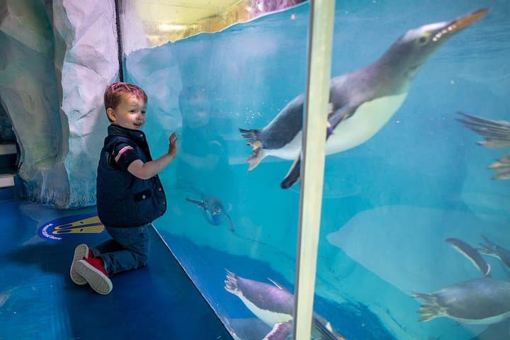 Combo Ticket Sea Life and Legoland Discovery Centre Birmingham