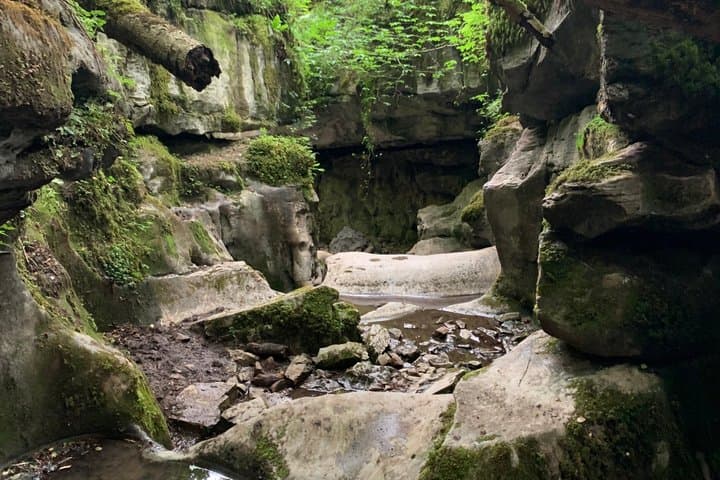 Bushcraft Taster Session in South Wales
