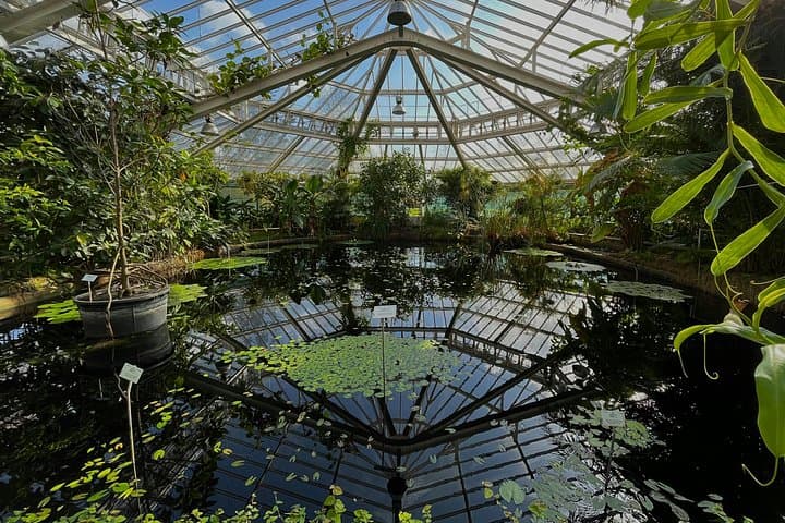 Kew Gardens Iconic Landmarks & Secret Spots Self Guided Tour