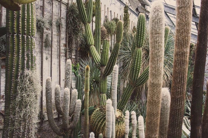 Kew Gardens Iconic Landmarks & Secret Spots Self Guided Tour