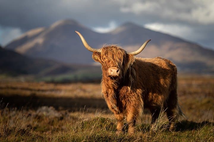 3 Day Isle of Skye Adventure from Edinburgh