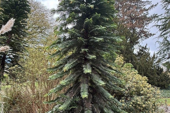 Private Tour of the Royal Botanic Garden Edinburgh
