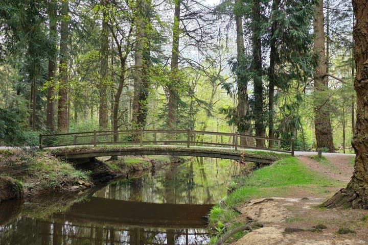 Private New Forest & Beaulieu Sightseeing from Southampton Cruise
