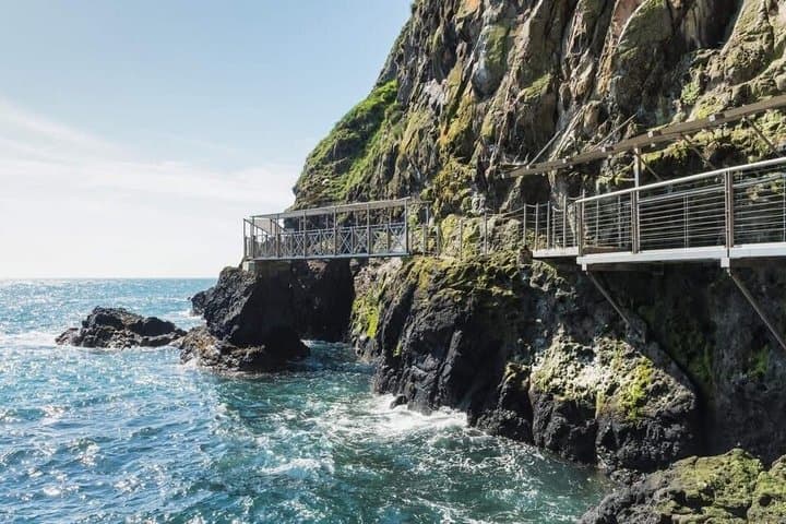 Private Northern Ireland Highlights Tour with Pickup Included