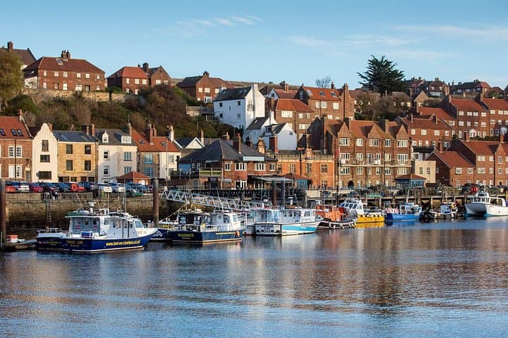 North York Moors and Whitby Day Tour from York