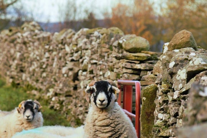 Yorkshire Dales from Windermere