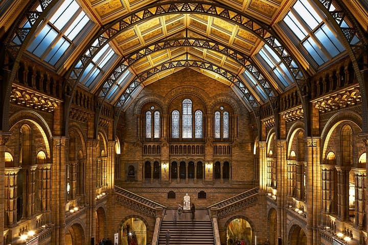 London 2h Natural History Museum Guided Tour with Priority Entry