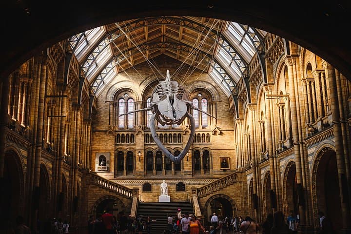 London 2h Natural History Museum Guided Tour with Priority Entry