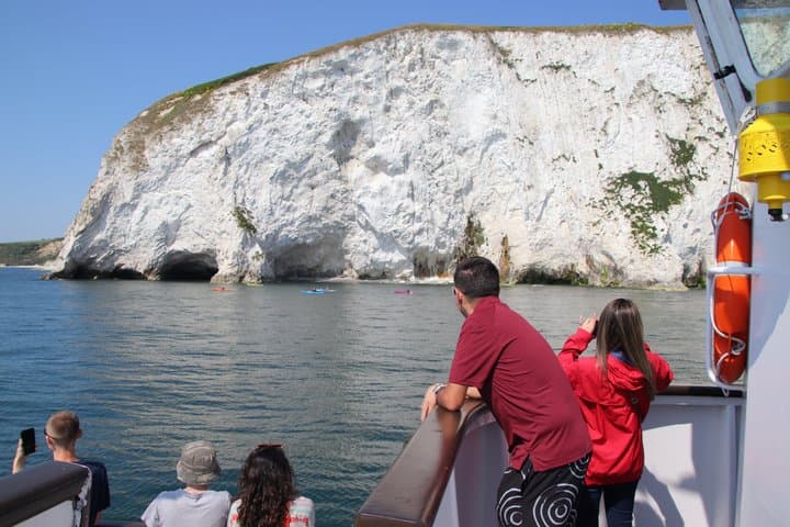 Bird Watching Cruise Along the Jurassic Coast