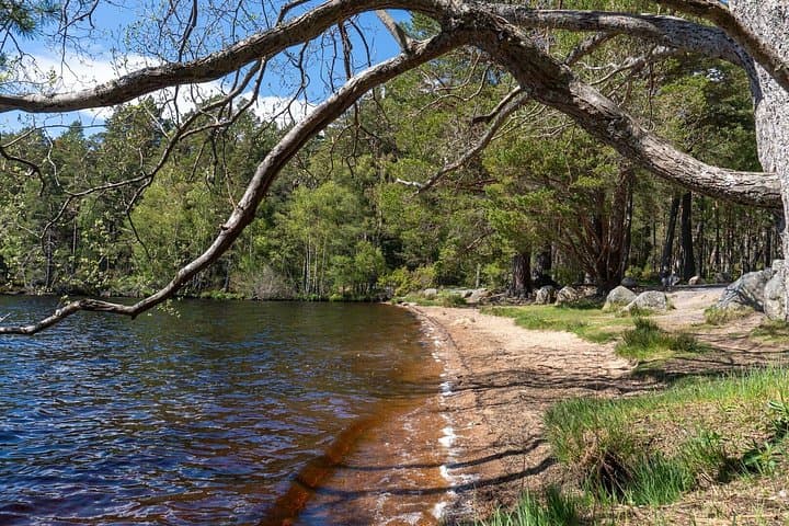 From Inverness: Cawdor Castle, Hairy Coos and Cairngorms Day Tour