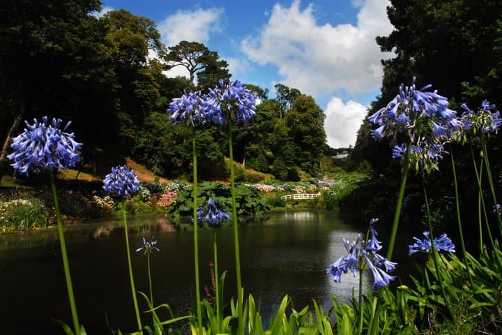 Cornish Gardens & Wonders – Private Tour from Falmouth