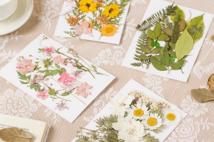Botanical Crystal Soap Making Workshop Make 4 Pieces