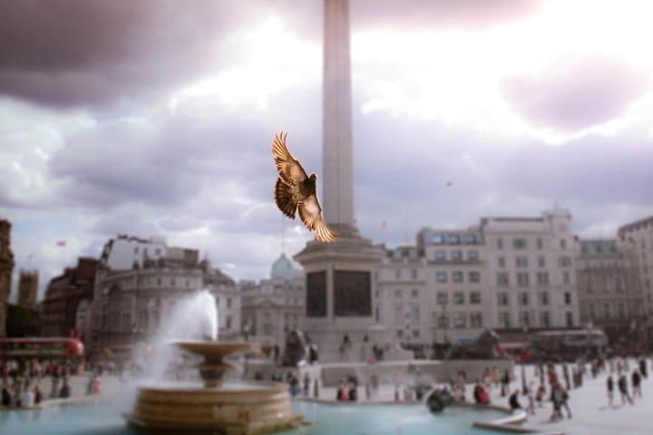London Sightseeing Tour with Tower of London Ticket