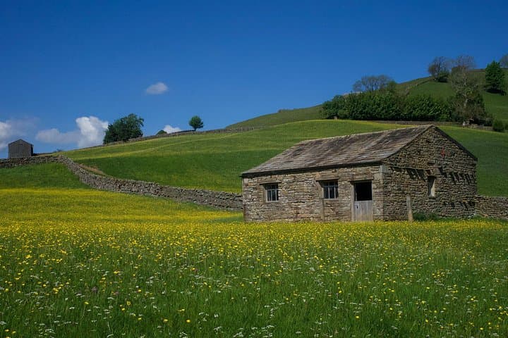 Yorkshire Dales Private Tour Swaledale and Wensleydale