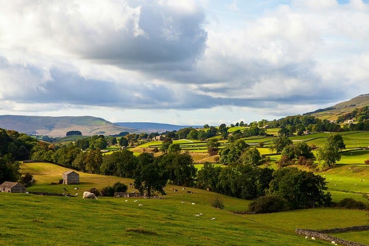 Yorkshire Dales Private Tour Swaledale and Wensleydale