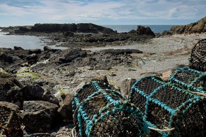 Private Shore Tour: Peel Vikings & the Scenic West Coast