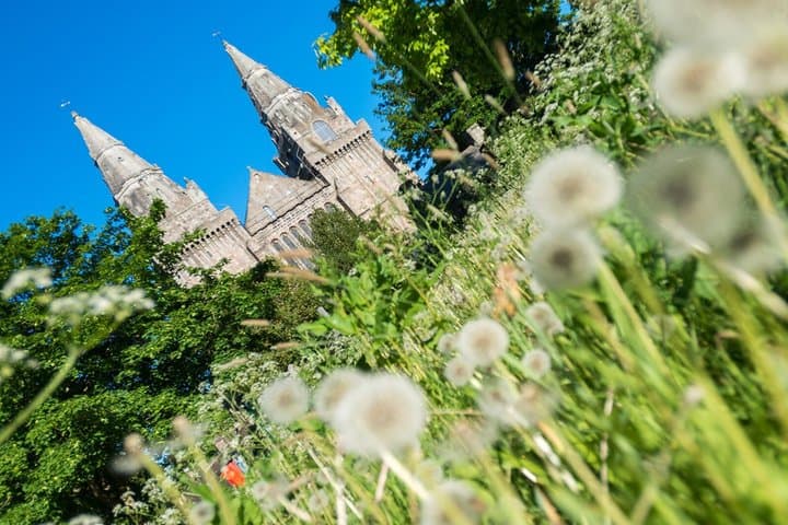 6 Hour Private Aberdeenshire Castle and Historic Building Tour
