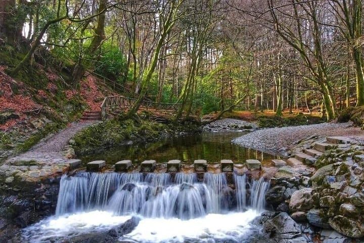 St Patricks Country Mourne Mountains and Strangford Coast Tour
