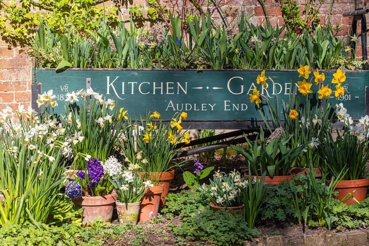 Audley End House and Gardens Admission Ticket