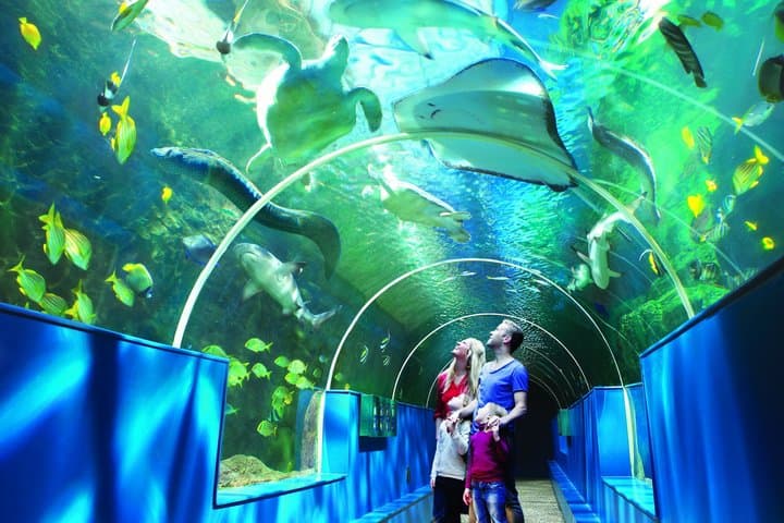 Bournemouth Oceanarium Day Ticket