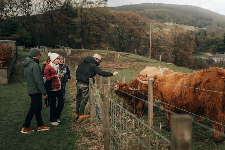 Speyside Whisky Tour : 3 Hour Small Group Tour & Tasting