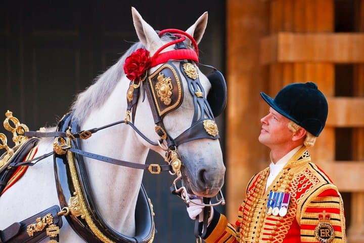 Buckingham Palace Royal Mews Experience Pass