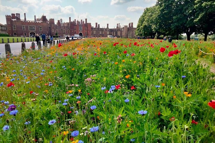 Private Hampton Court Palace Tour from London by Black Taxi