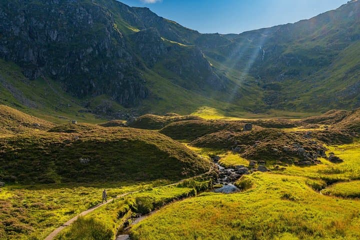 Cairngorms & Whisky Day Tour from Inverness Including Admission