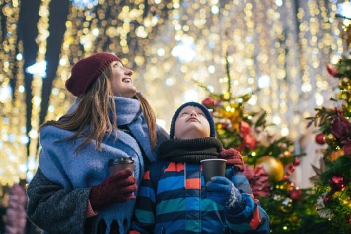 London Christmas Lights Private Tour for Groups