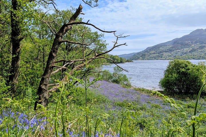 Scottish Highlands Freedom Bike & E- Bike Tour with Transfers