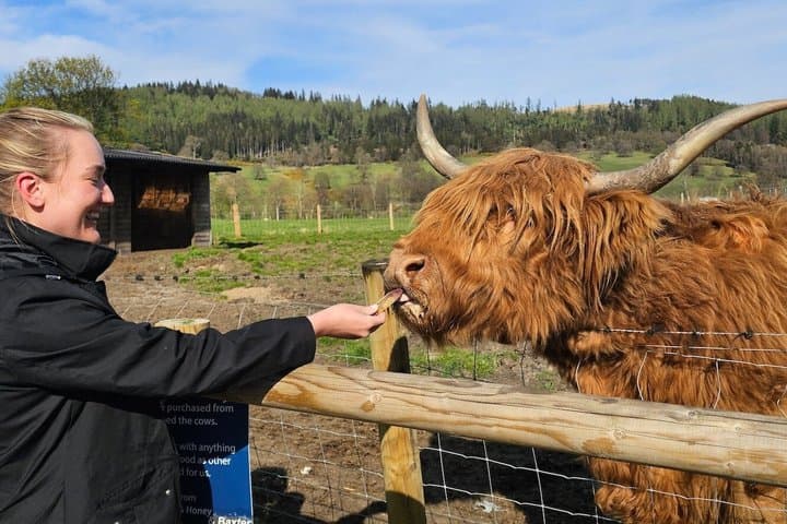 5 Day Private Guided Tour of Scotland (incl. Loch Ness and Skye)