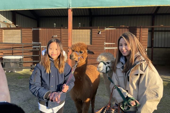 Private 1-Hour Alpaca Walking Experience