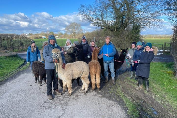 Private 1-Hour Alpaca Walking Experience