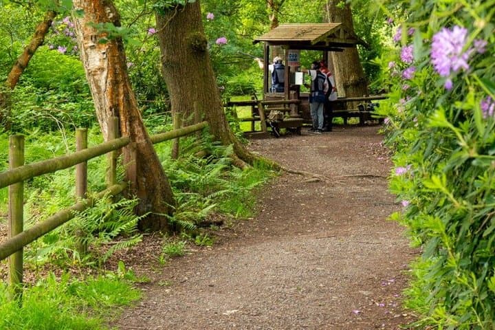Private Clay Pigeon Shooting Experience in Manchester