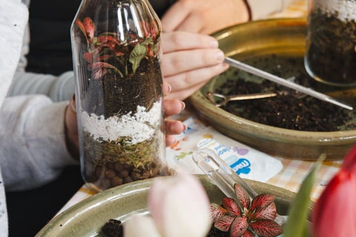 Terrarium Making Experience in Cirencester