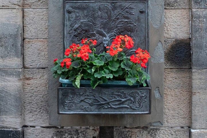 Edinburgh History and Photography Tour of the Royal Mile