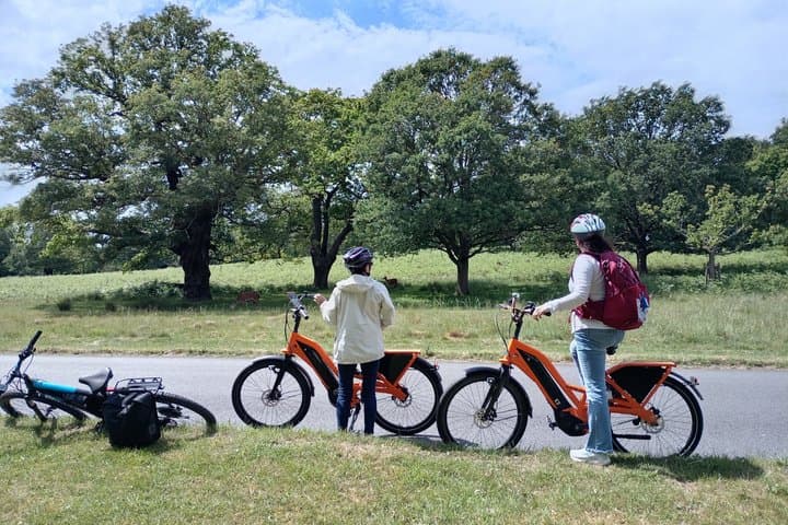 London E Bike Tour Richmond Park Deer and Hidden Gems