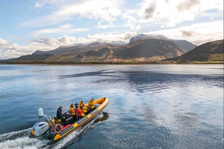 1 Hour Loch Safari Tour in Fort William