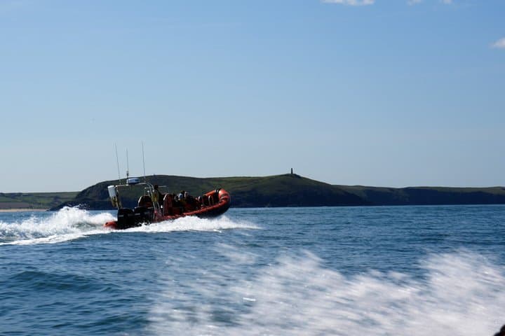 1 Hour Sea Safari RIB Boat Trip