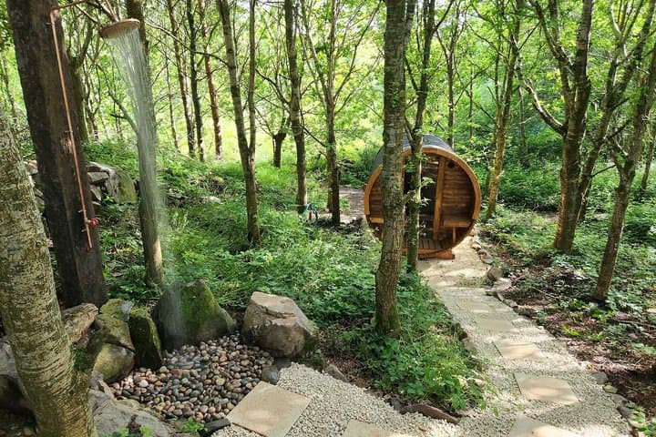 Nourish Full Day Woodland Spa Wellness Retreat Northern Ireland