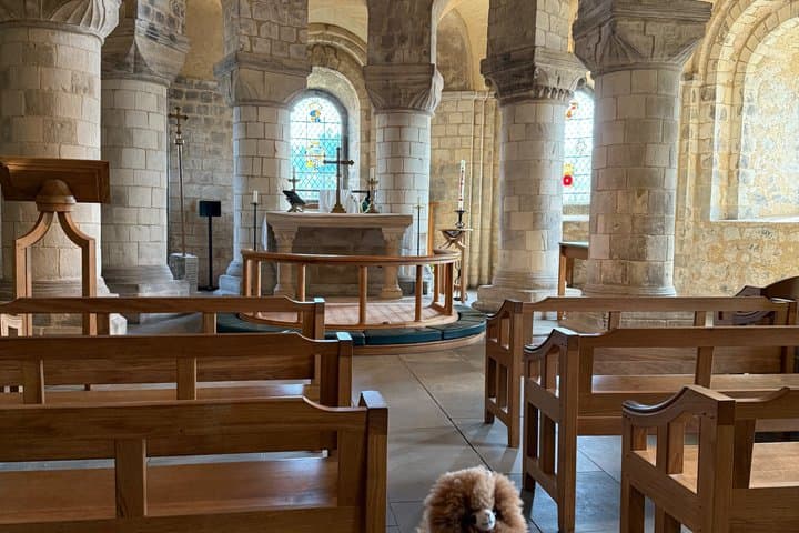 Tower of London Private Guided Tour - Not All Guests Left Alive